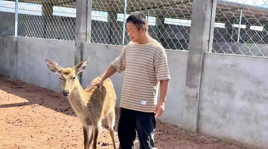 金博宝怎么注册